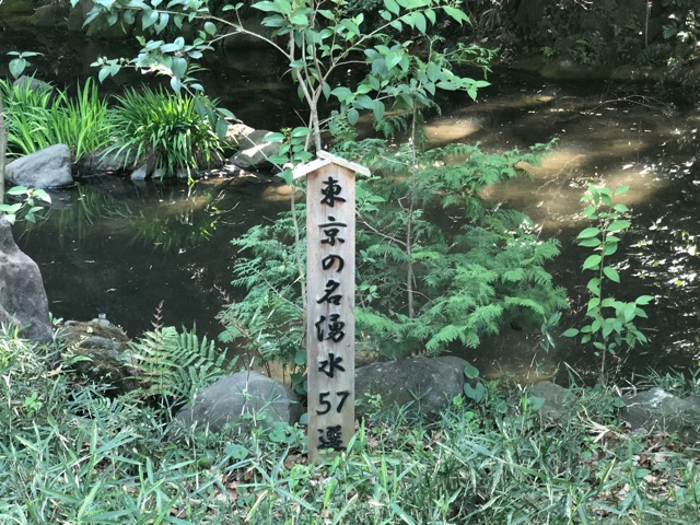 4E6DE979-33B7-409E-B6D0-D700B0059D68.jpeg